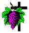 VineyardofFaithLogo.gif (2575 bytes)